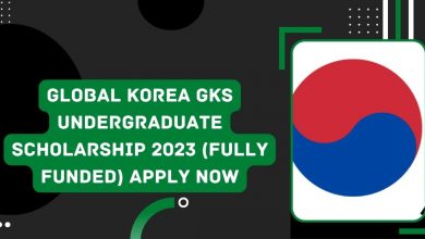 Photo of Global Korea GKS Undergraduate Scholarship 2023 (Fully Funded)  Apply Now