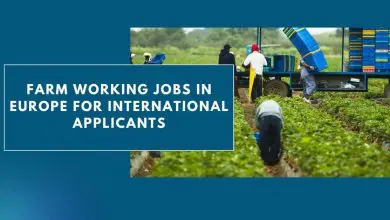 Photo of Farm Working Jobs In Europe For International Applicants