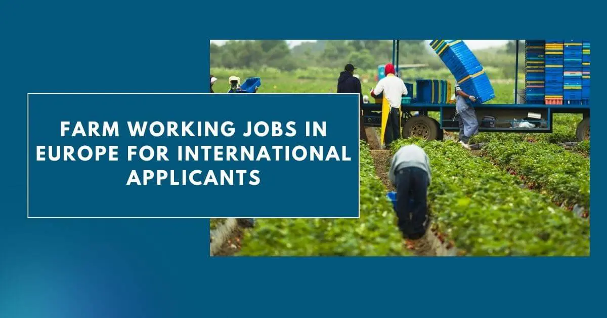 Farm Working Jobs In Europe For International Applicants