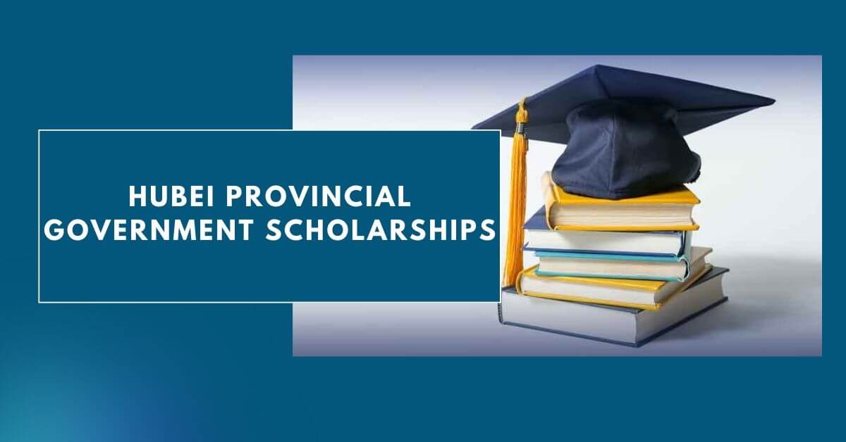 Hubei Provincial Government Scholarships