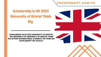 Photo of Scholarship in UK 2024 University of Bristol Think Big