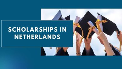 Photo of Scholarships in Netherlands 2024 – Fully Funded