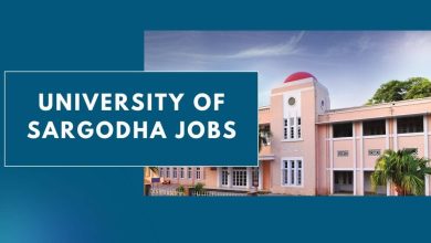 Photo of University of Sargodha Jobs 2026