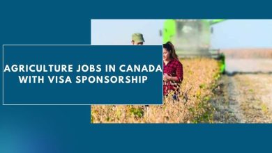 Photo of Agriculture Jobs in Canada with Visa Sponsorship 2024