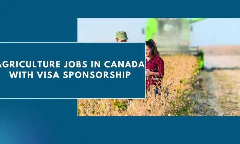 Photo of Agriculture Jobs in Canada with Visa Sponsorship 2024