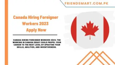 Photo of Canada Hiring Foreigner Workers 2023 – Apply Now