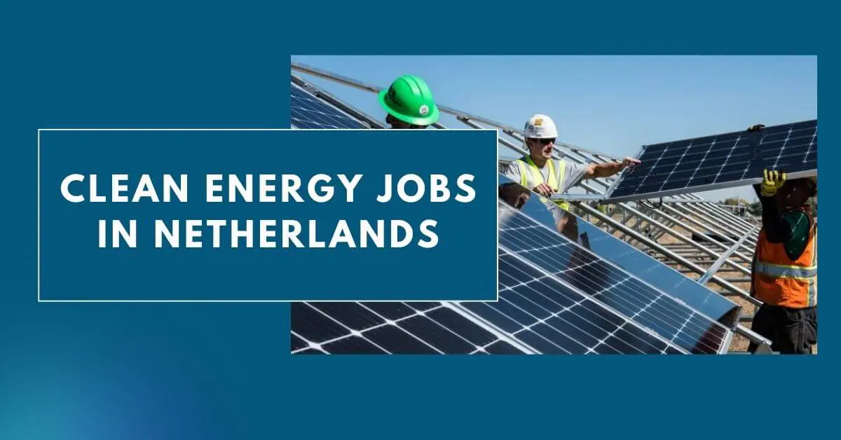 Clean Energy Jobs In Netherlands