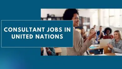 Photo of Consultant Jobs in United Nations 2025 – Apply Now