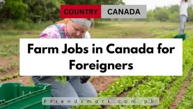 Photo of Farm Jobs in Canada for Foreigners 2024 – Apply Now