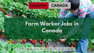 Photo of Farm Worker Jobs in Canada 2024 – Apply Now