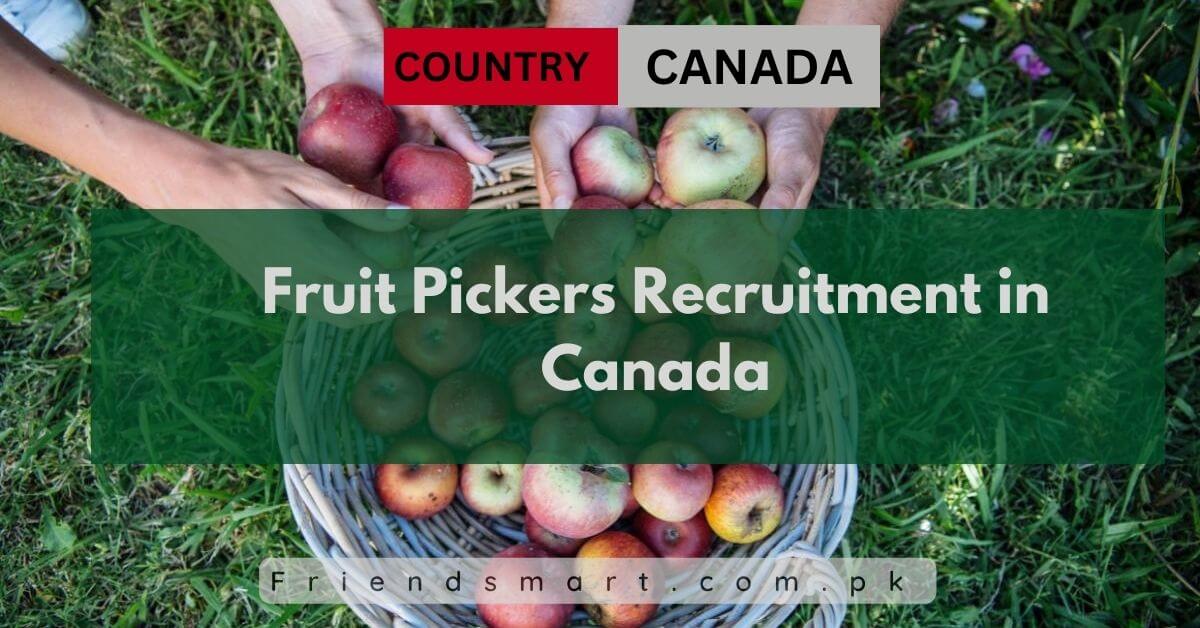 Fruit Pickers Recruitment In Canada 2024 Apply Now   Fruit Pickers Recruitment In Canada 