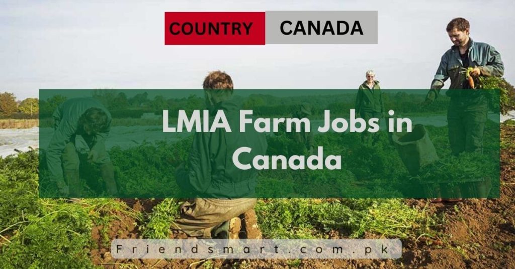 Lmia Farm Jobs In Canada