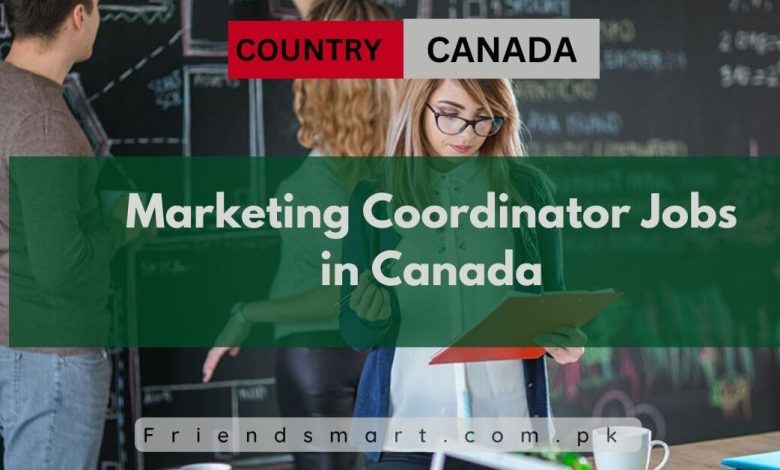 Photo of Marketing Coordinator Jobs in Canada 2024 – Apply Now