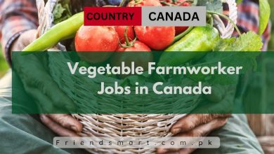 Photo of Vegetable Farmworker Jobs in Canada 2024 – Apply Now