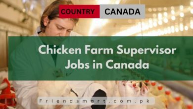 Photo of Chicken Farm Supervisor Jobs in Canada 2024 – Apply Now