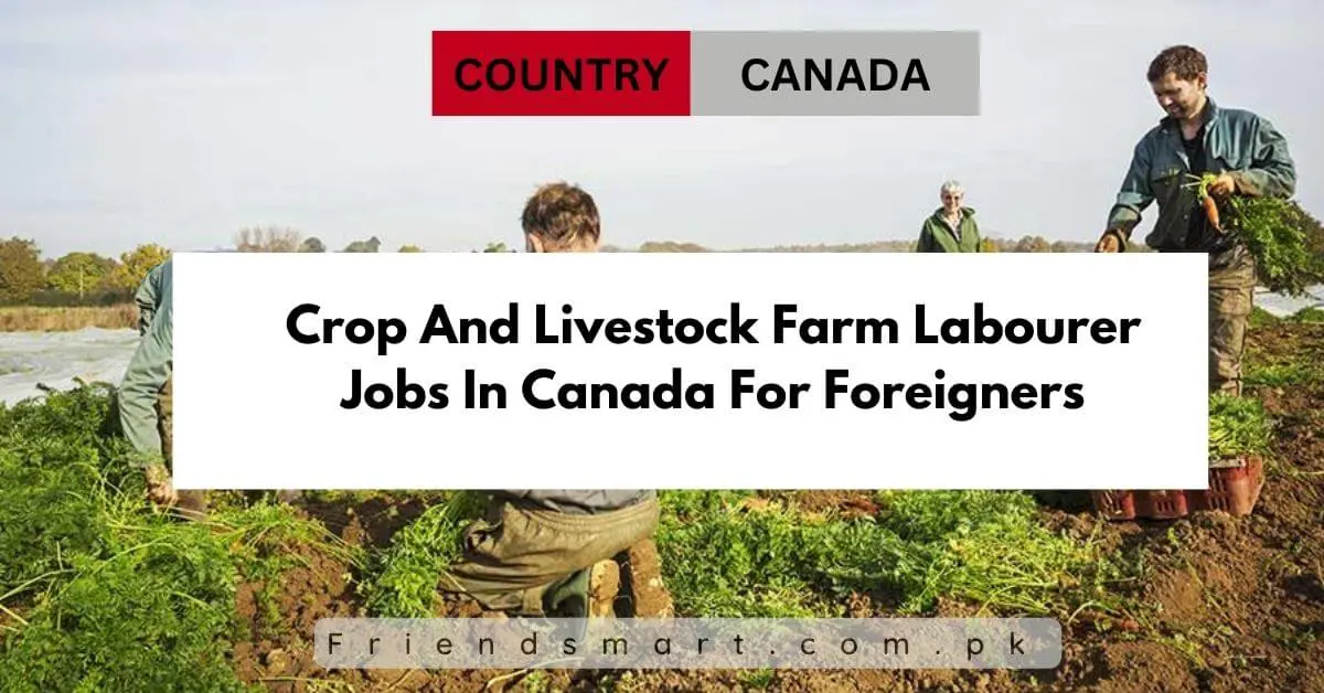 Crop And Livestock Farm Labourer Jobs In Canada For Foreigners