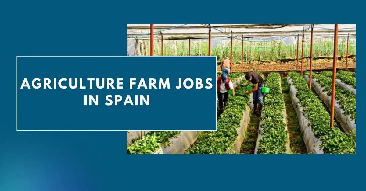 Agriculture Farm Jobs In Spain
