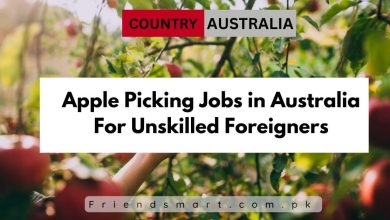 Photo of Apple Picking Jobs in Australia For Unskilled Foreigners 2024