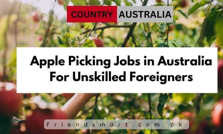 Photo of Apple Picking Jobs in Australia For Unskilled Foreigners 2024