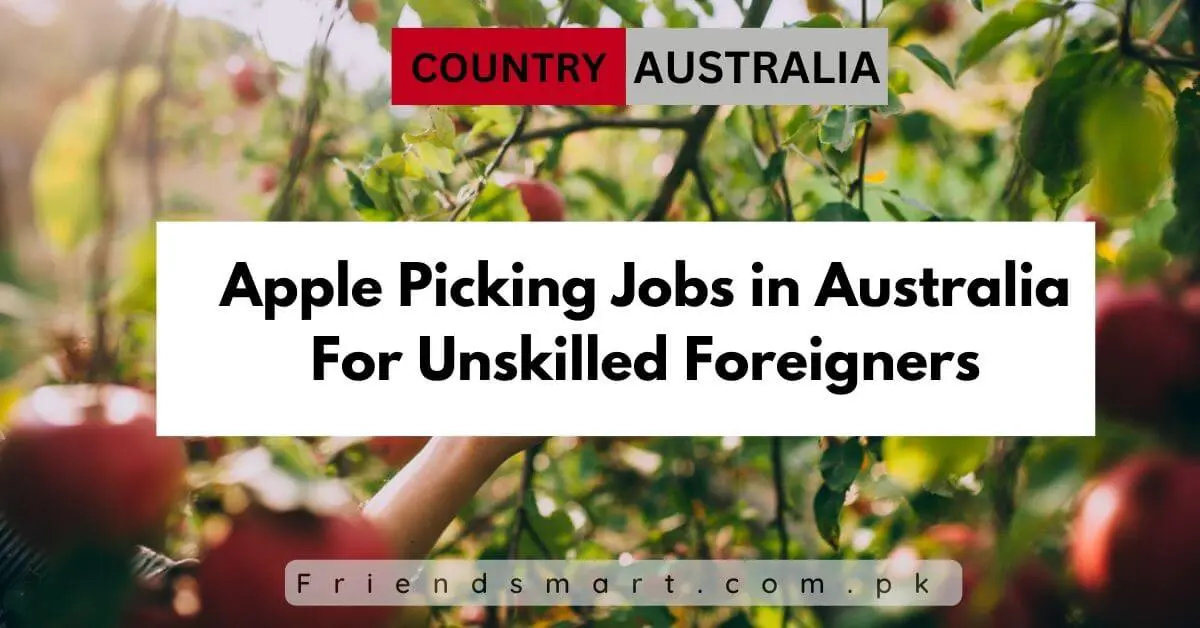 Apple Picking Jobs in Australia For Unskilled Foreigners