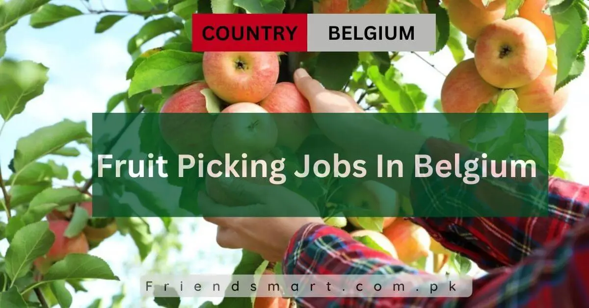Fruit Picking Jobs In Belgium