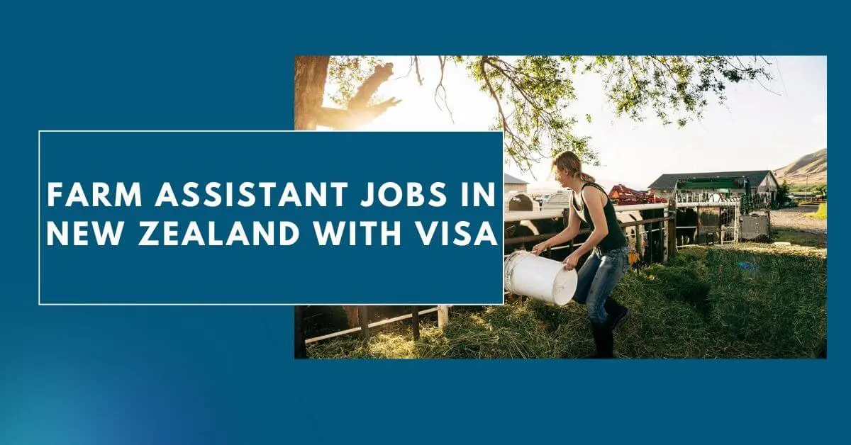 Farm Assistant Jobs in New Zealand With Visa