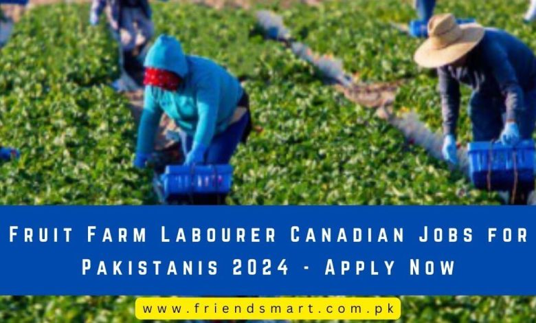 Fruit Farm Labourer Canadian Jobs For Pakistanis 2024   Fruit Farm Labourer Canadian Jobs For Pakistanis 2024 780x470 