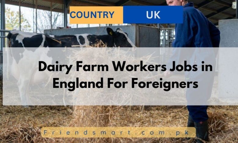 Dairy Farm Workers Jobs In England For Foreigners