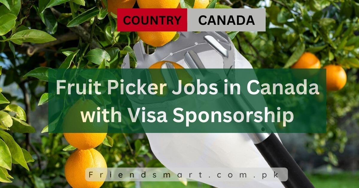 Fruit Picker Jobs in Canada with Visa Sponsorship 2024