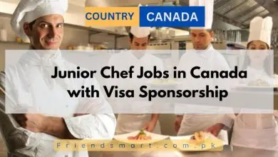 Photo of Junior Chef Jobs in Canada with Visa Sponsorship 2024  