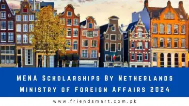 Photo of MENA Scholarships By Netherlands Ministry of Foreign Affairs 2024