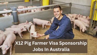 Photo of X12 Pig Farmer Visa Sponsorship Jobs In Australia