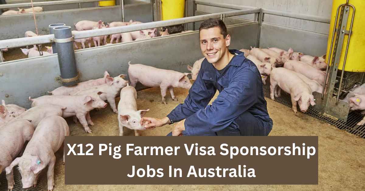 X12 Pig Farmer Visa Sponsorship Jobs In Australia
