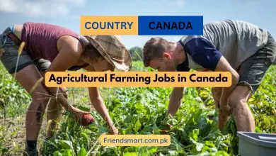 Photo of Agricultural Farming Jobs in Canada 2024 – Free Work VISA