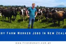 Photo of Dairy Farm Worker Jobs In New Zealand 2024 – Apply Now