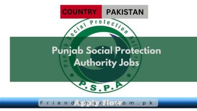 Photo of Punjab Social Protection Authority Jobs 2025 – Apply Now