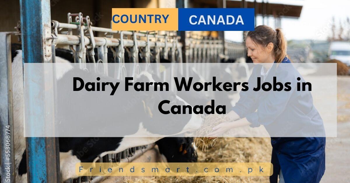 Dairy Farm Workers Jobs in Canada