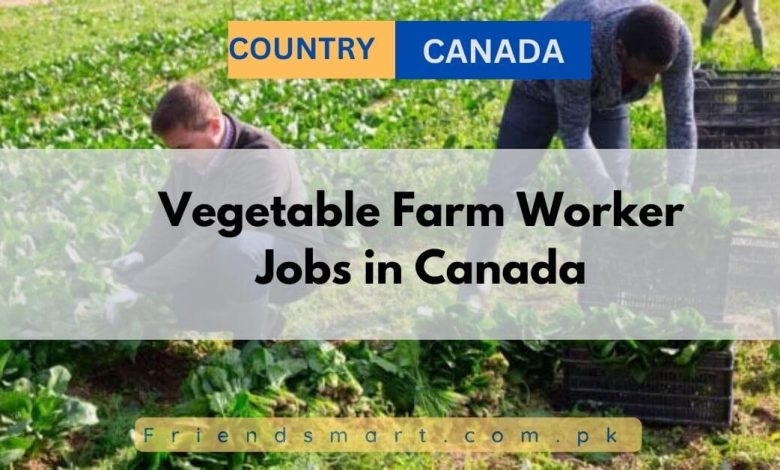 vegetable farm worker jobs in new zealand