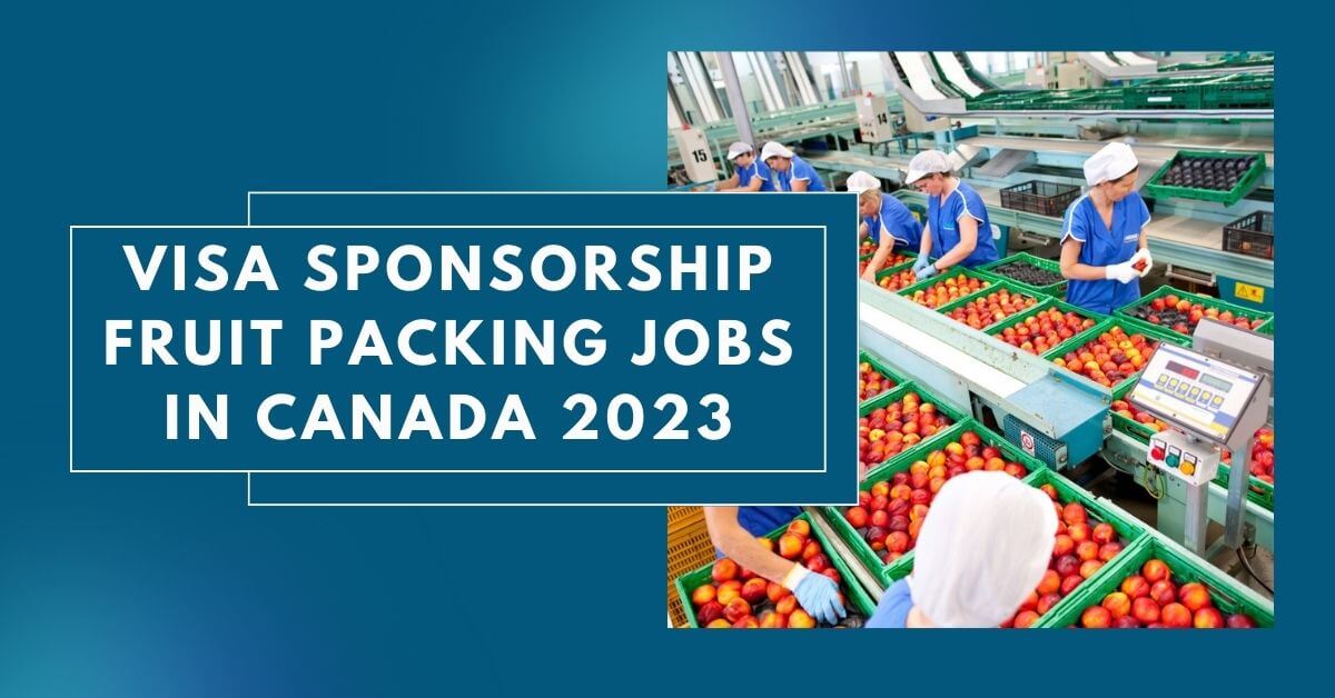 Visa Sponsorship Fruit Packing Jobs In Canada 2024 Apply Now   Visa Sponsorship Fruit Packing Jobs In Canada 2023 