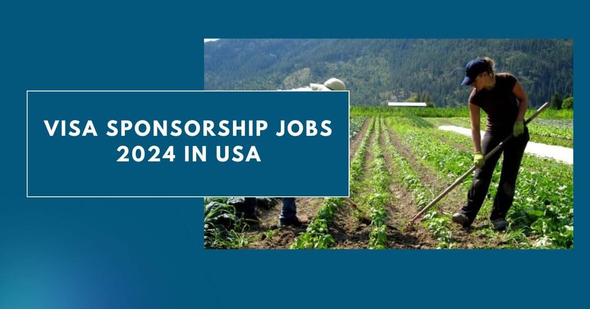 Visa Sponsorship Jobs 2024 in USA Unskilled Jobs