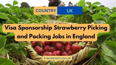Photo of Visa Sponsorship Strawberry Picking and Packing Jobs in England