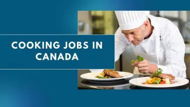 Photo of Cooking Jobs in Canada 2024 – Apply Now