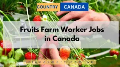 Photo of Fruits Farm Worker Jobs in Canada 2024 – Apply Here