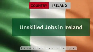 Photo of Unskilled Jobs in Ireland 2024 Visa Sponsorship