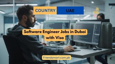 Software Engineer Jobs In Dubai With Visa 390x220 