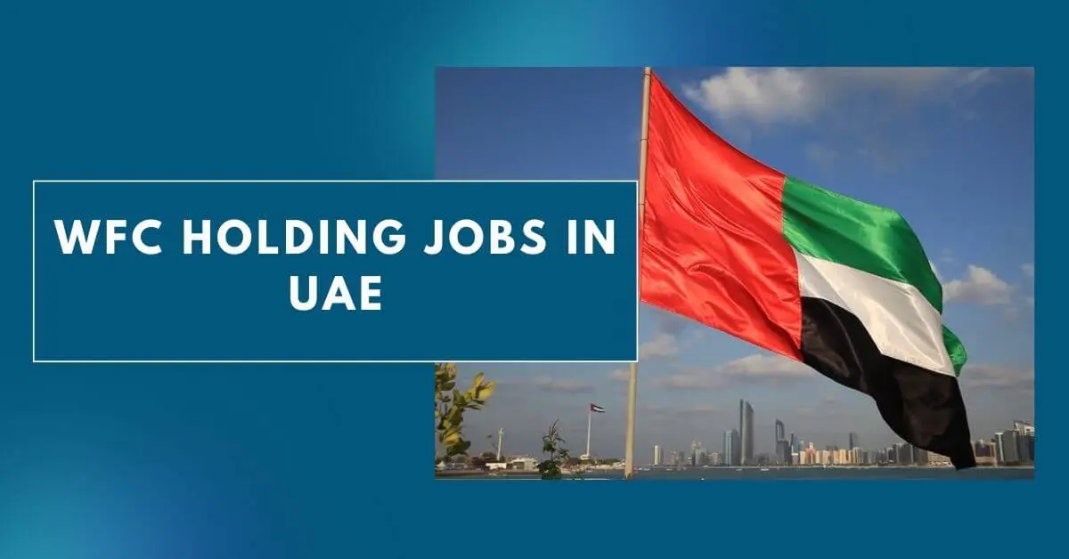 WFC Holding Jobs in UAE