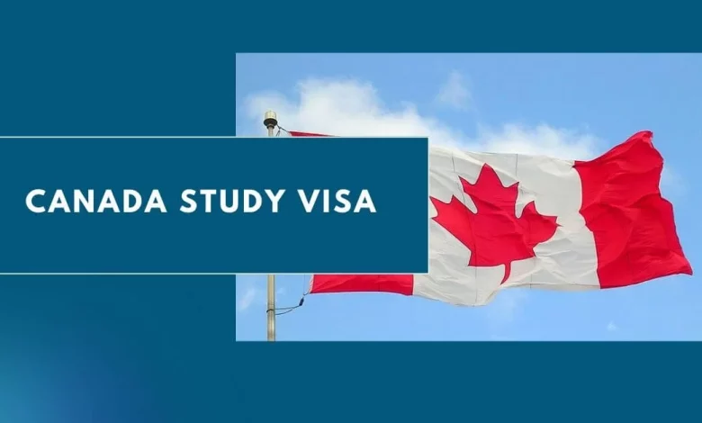 Canada Study Visa 2024 How To Apply   Canada Study Visa 780x470.webp