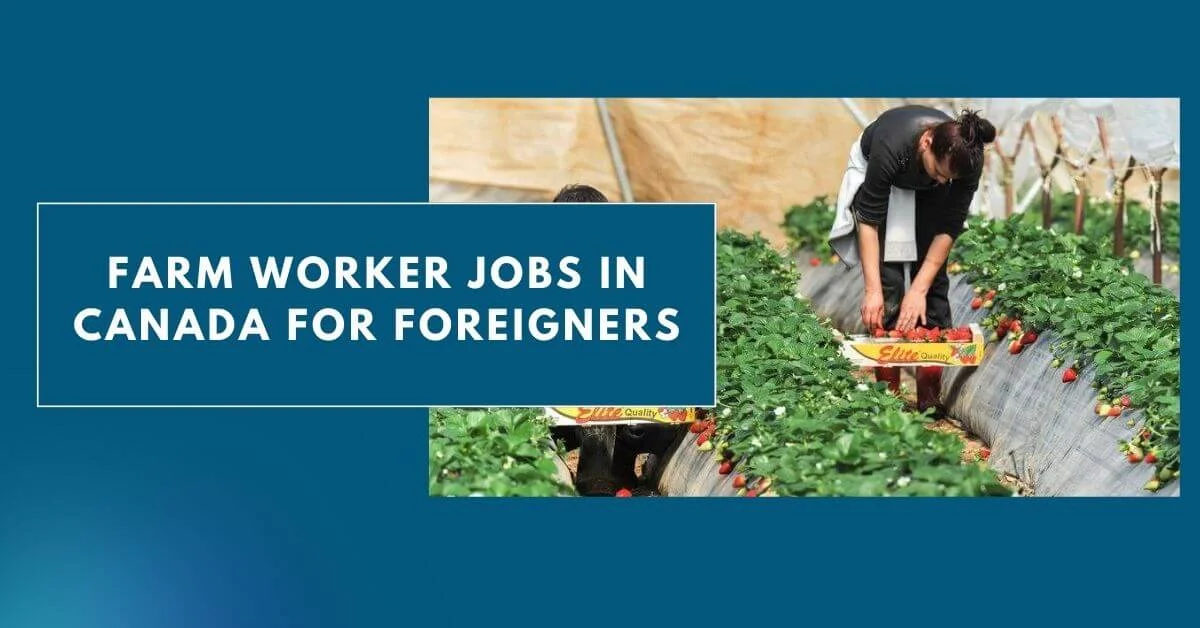 Farm Worker Jobs in Canada for Foreigners