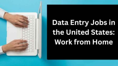 Photo of Data Entry Jobs in the United States: Work from Home