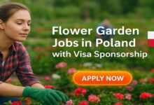 Photo of Flower Garden Jobs in Poland with Visa Sponsorship 2026